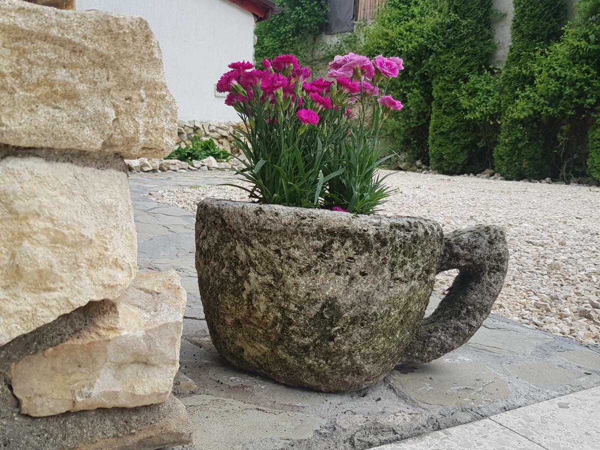 Rîşnov Casa Bergwald 아파트 외부 사진